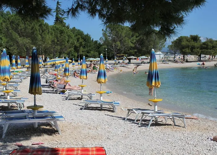 12116d